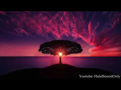 Nasheed- Akhi Anta Hurrun | HalalSoundOnly | Nasheed & Quran