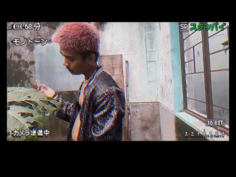 tadivoi_goodbye.otmv