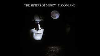 a rock and hard place - the sisters of mercy.