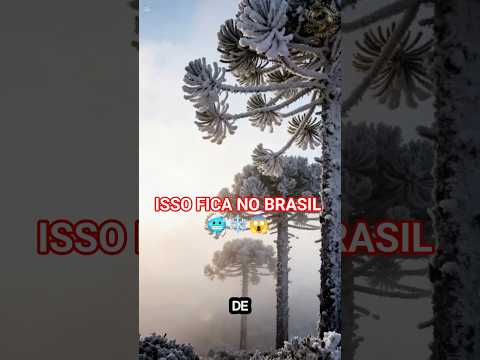 ❄️ Urupema (SC): a cidade mais fria do Brasil 😳 Você viveria nesse gelo todo? 🥶🇧🇷 #Urupema
