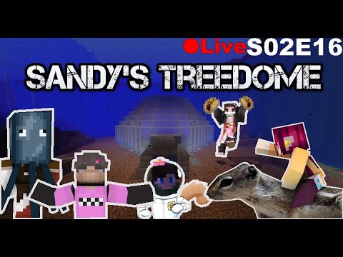 Sandy"s Treedome | Minecraft 1.16.5 S02E16Live