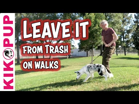 STOP UNWANTED behaviors with BACK UP