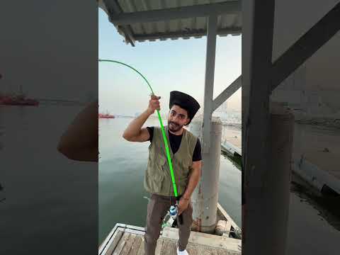 بدي أتجوز يا بدت حالي 🤣🤣