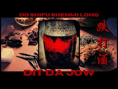 Dao Zhiliao — Dit Da Jow · La Fórmula Oficial del Yangyiquan