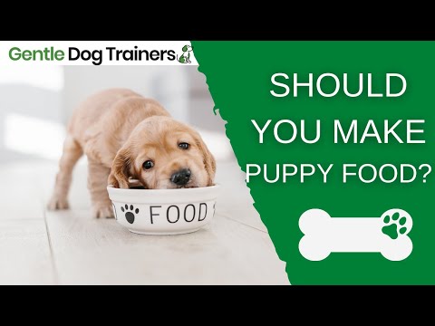 Should You Make Your Puppy's Food? Homemade Puppy Food Guide!