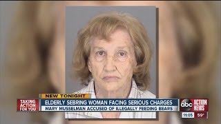 Elderly woman arrested for feeding black bears