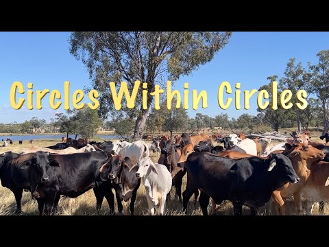 Circles within Circles