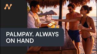 Palm Pay: The Future of Biometric Payments | NV Global