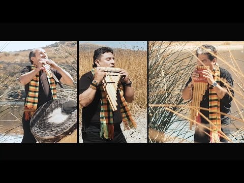 PROYECCION - CORAZON SINCERO (Video del Canal Oficial) Tinku.