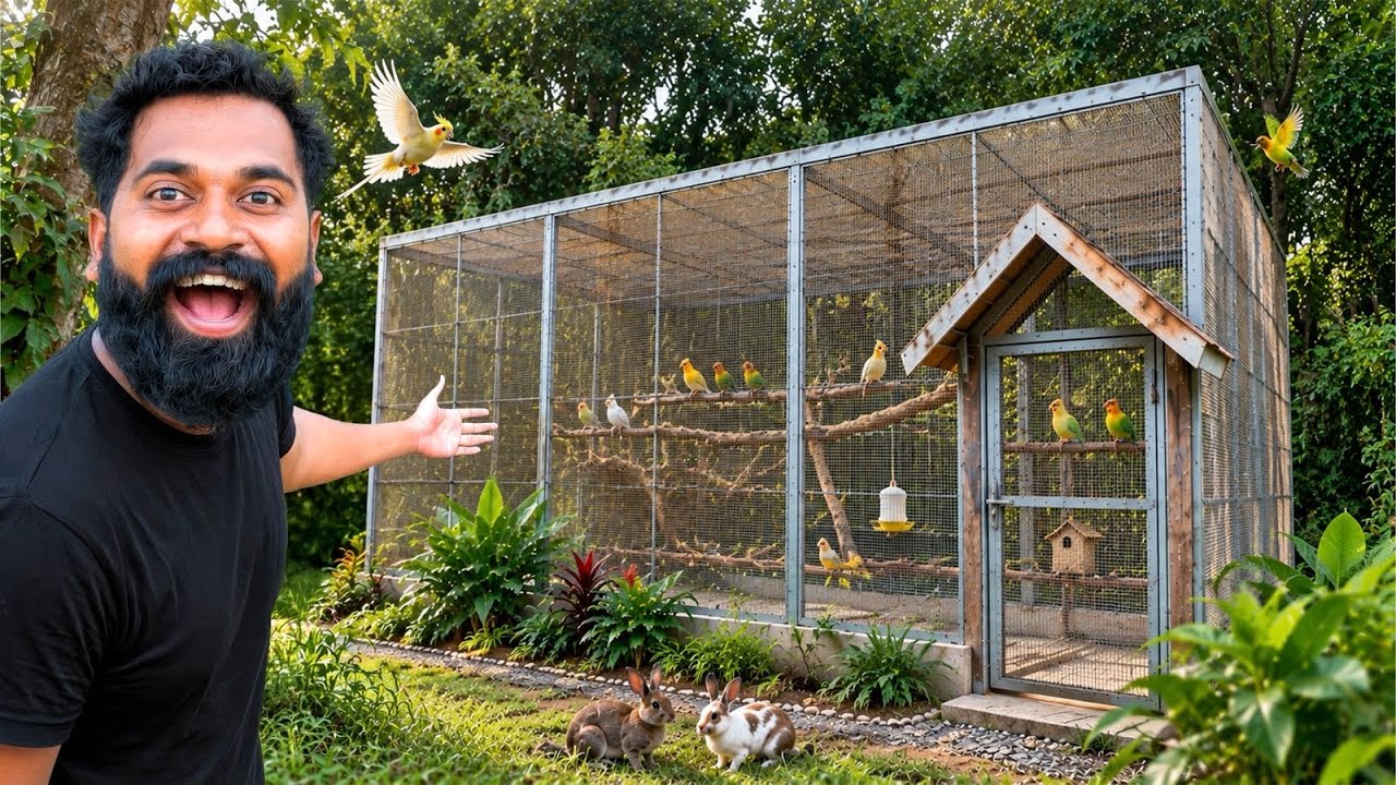 Ep 5 Building A Giant Bird House  | നമ്മുടെ കിളിക്കൂടിന് പണികിട്ടി 🥹🥹🥹 | M4