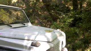 Salmone Xtribe 2016 suzuki e G