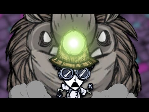 Why Ruins Rushing's DUMB (Ruins Rushing Song)