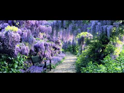 Sequent Industry - Promiseland [FREE TRACK]