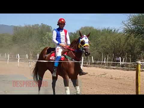 Hip. El Quebrachal (Mala Gata)