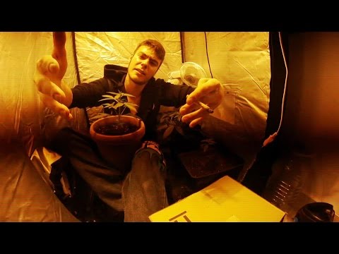 Tete Weeras - El Speaker que mejor rapea (VIDEOCLIP OFICIAL)