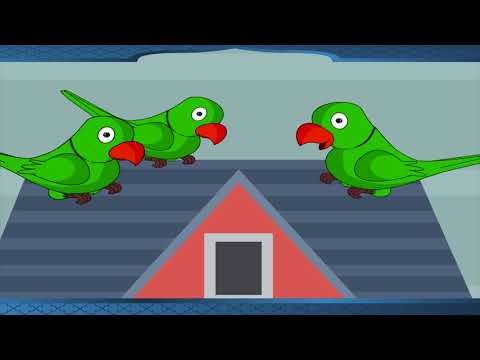 Hiraman - हीरामन |  Kriti Educational Videos class-8