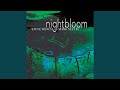 Nightbloom part 1