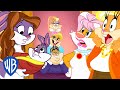 Looney Tunes Mother Figures WB Kids