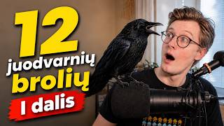 Dvylika brolių juodvarnių | PASAKA visiems apie pasiaukojimą (1 dalis)