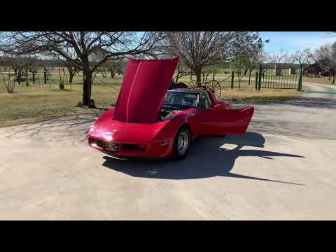 1980 Chevrolet Corvette (CC-1584155) for sale in Fredericksburg, Texas