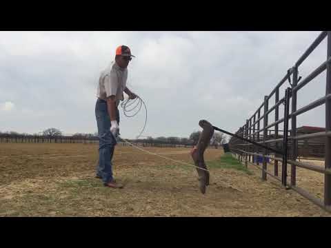 Heeling Made Easy