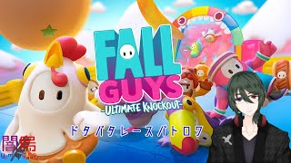 【Fall Guys】レース開始できなかったから→マキオン【バトロワ】
