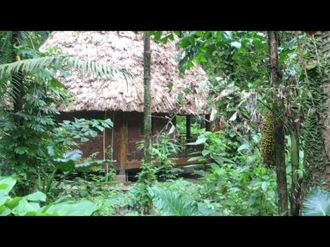 download lagu mp3 mp4 Barefoot At Havelock, download mp3 Barefoot At Havelock free download mp3, download mp3 Barefoot At Havelock