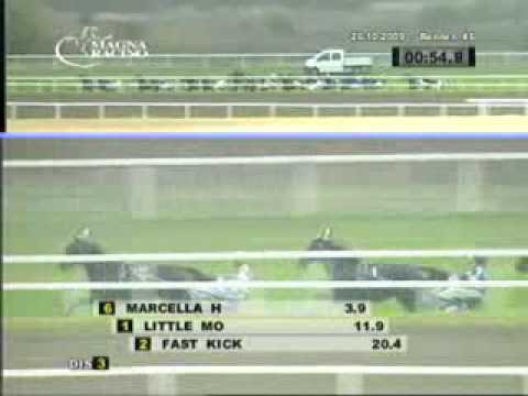 Ebreichsdorf 26.10.2009 Lauf 6 - Sieger Latin Lover