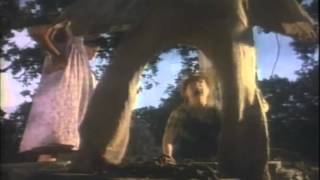 Good Old Boy: A Delta Boyhood (1988) Video