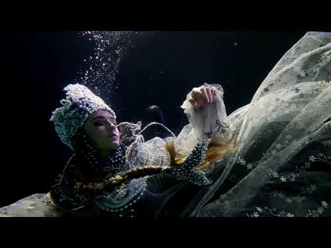 Regrowth - "Eight Hundred Years" (VISUALIZER)