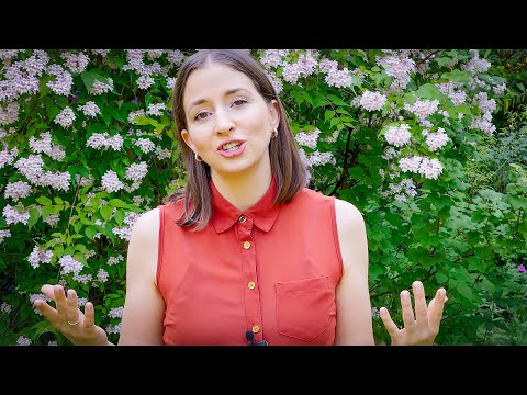 Warum ein problemfreies Leben nicht die Lösung ist