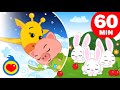 A Dormir Estrellita Saco Una Manito Y Más Canciones Para Dormir Canciones Infantiles Plim Plim