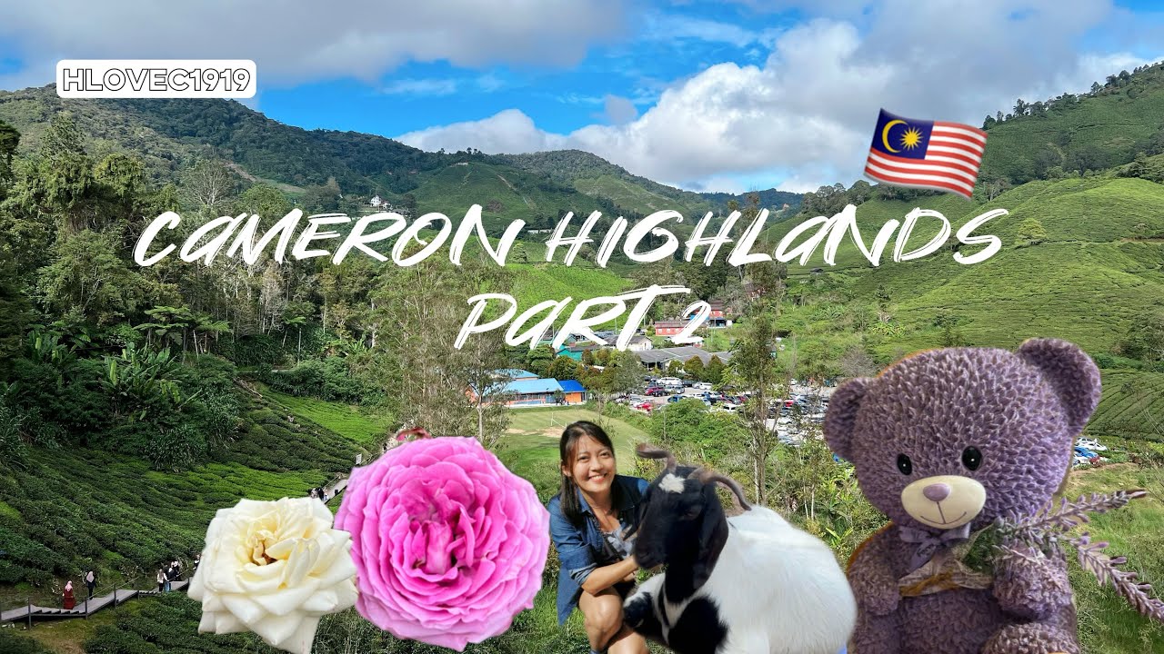 VISIT/TRAVEL | Chillax Trip to Cameron Highlands Pahang Malaysia Part 2