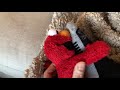 Elmo Likes His Friend S Stinky Toes
