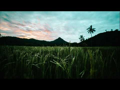 CHILLOUT 2020 : Seven24 & Delaitech Feat. Kiwi - Rainbow (Alexander Volosnikov Summer Mix)