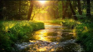 8 Hours of Calming Music to Heal the Heart 🍃 Sounds of Nature for Stress Relief & Healing Meditatio