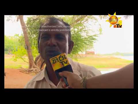 Hiru TV