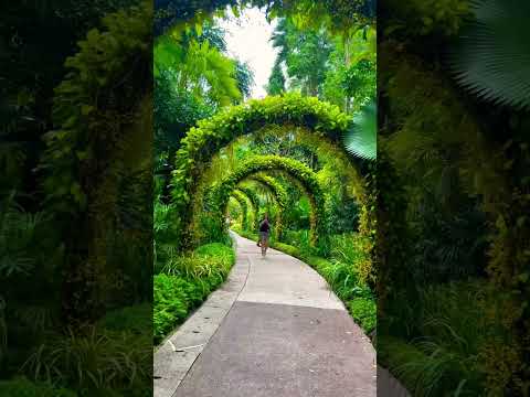 Botanical garden ||#viral #foryou #youtubeshorts #travel #explore #flowergarden @sarif_khan999