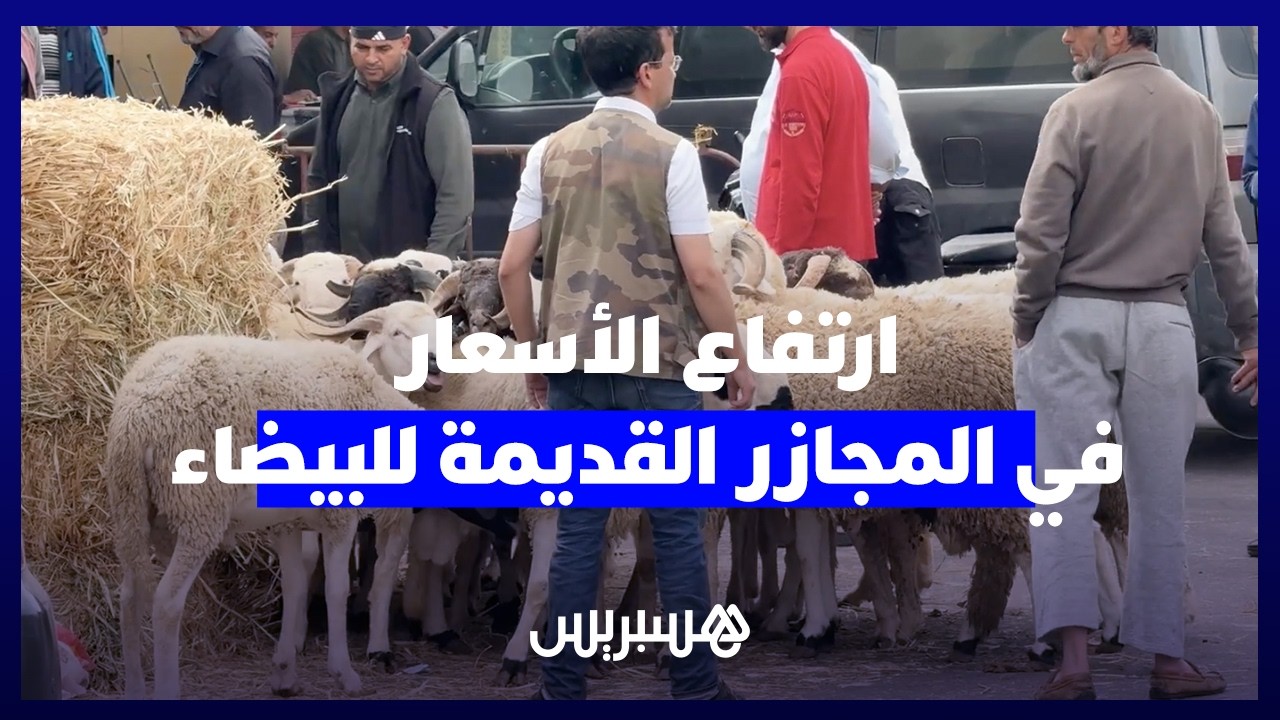 ابتداء من 4000 درهم.. مواطنون: "الغلاء يطرد الدرويش من السوق" في المجازر القديمة للبيضاء thumbnail