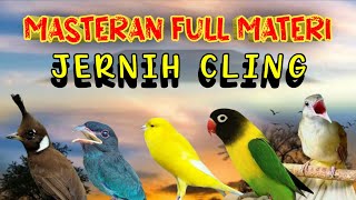 Download lagu MASTERAN MURAI BATU ROLL TEMBAKAN DAN MUDAH DITIRU UNTUK BURUNG FIGHTER SUARA JERNIH MEWAH mp3 Download lagu MASTERAN MURAI BATU ROLL TEMBAKAN DAN MUDAH DITIRU UNTUK BURUNG FIGHTER SUARA JERNIH MEWAH mp3