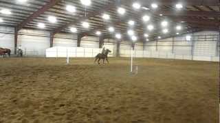 3/17/12 Desert Duellers Gymkhana Adult Cal Stake race Sonya