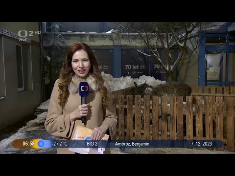 Chyby ČT # 389 – Dobré ráno (7. 12. 2023)