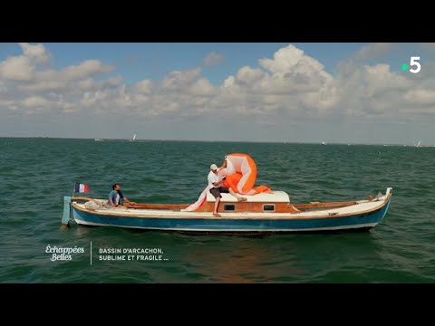 Bassin d'Arcachon, sublime et fragile - Extrait - Échappées belles