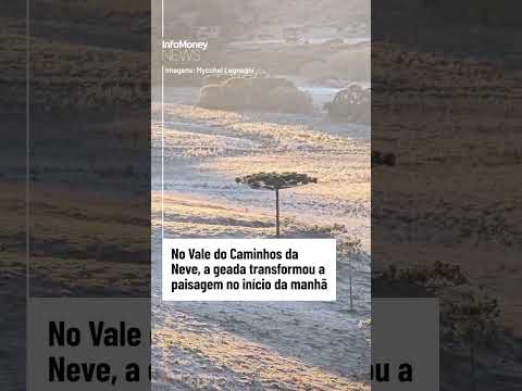 VEJA: Geada transforma paisagem em Santa Catarina
