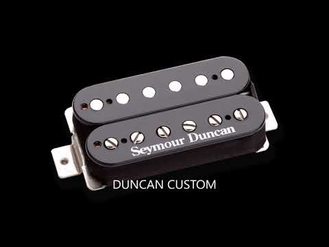 SEYMOUR DUNCAN BRIDGE PICKUPS BATTLE!, SD DISTORTION, SD BLACK WINTER, SD CUSTOM