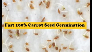 Grow Carrots fast 100% Carrot seed Germination.  It
