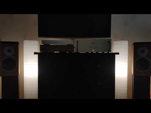 Reqst DAC: NS1M vs NS1S Sig. (видео 3)