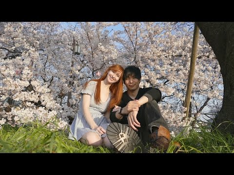 清州城的櫻花 ✿ 花見・清州城 (Cherry Blossoms at Kiyosu Castle ✿ 花見・清州城)