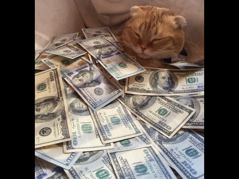 Solo Master Acquisition | Prismatic Hunter