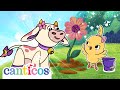 NEW This World Is Nuestra Casa ️Earth Day Canticos Nursery Rhymes Kids Songs